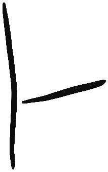 Image of the occurrence